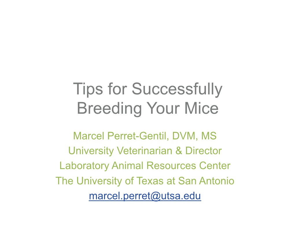 Tips for Successfully Breeding Your Mice