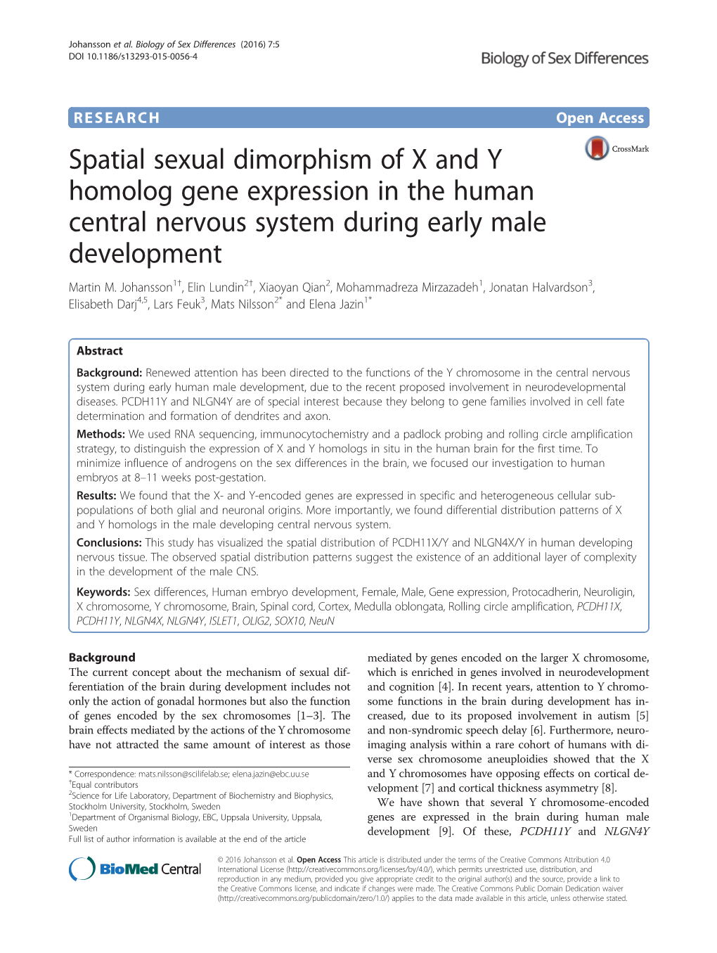 Spatial Sexual Dimorphism of X and Y Homolog Gene Expression in the Human Central Nervous System During Early Male Development Martin M