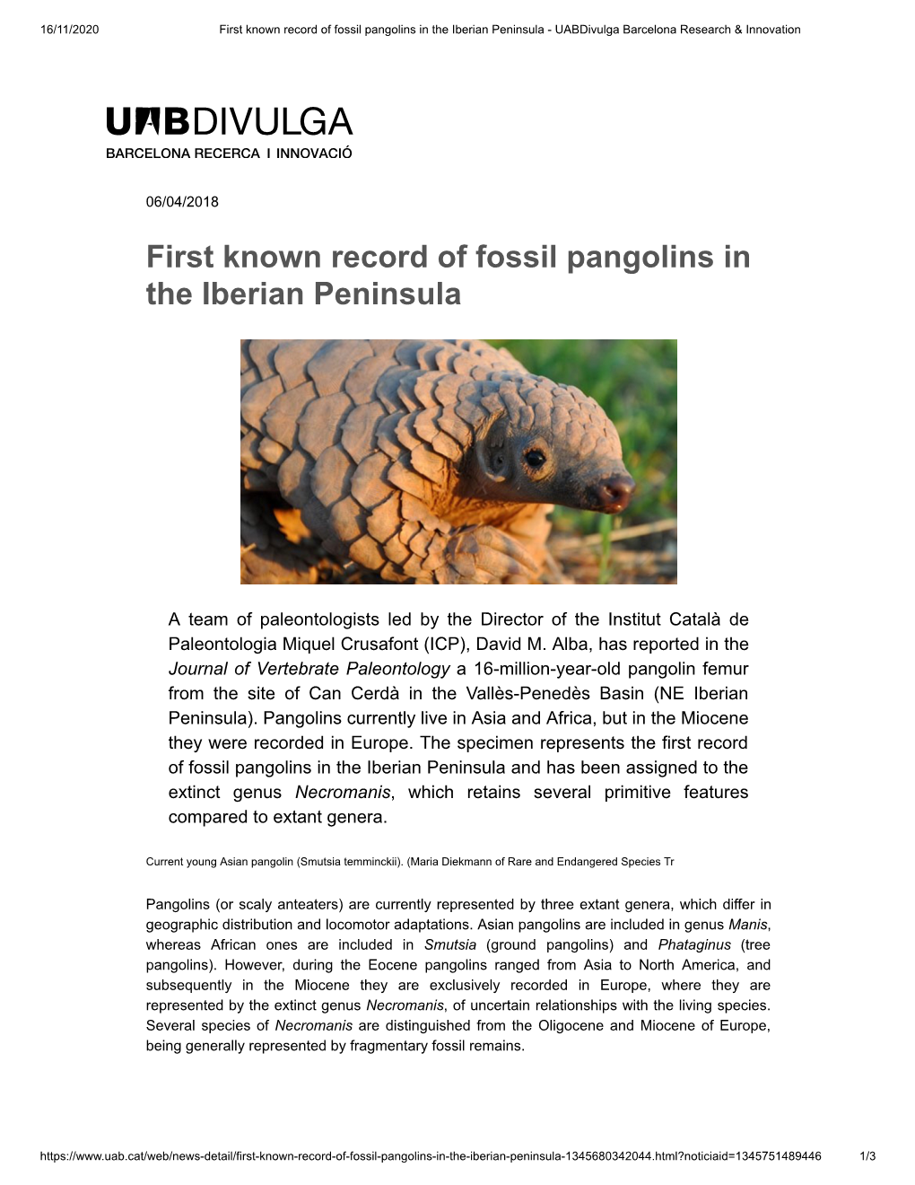 First Known Record of Fossil Pangolins in the Iberian Peninsula - Uabdivulga Barcelona Research & Innovation