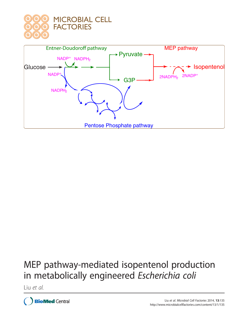 MEP Pathway-Mediated Isopentenol Production in Metabolically Engineered Escherichia Coli Liu Et Al