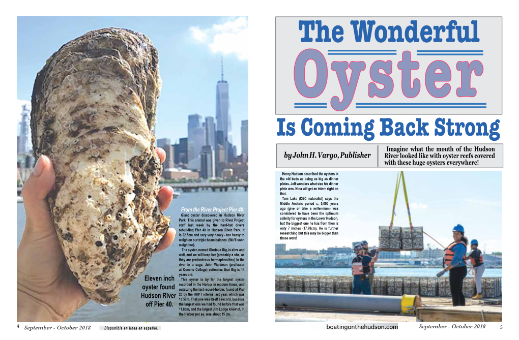 The Wonderful Oyster Is Coming Back Strong Imagine What the Mouth of the Hudson by John H