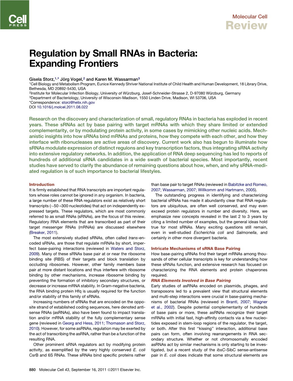 Regulation by Small Rnas in Bacteria: Expanding Frontiers
