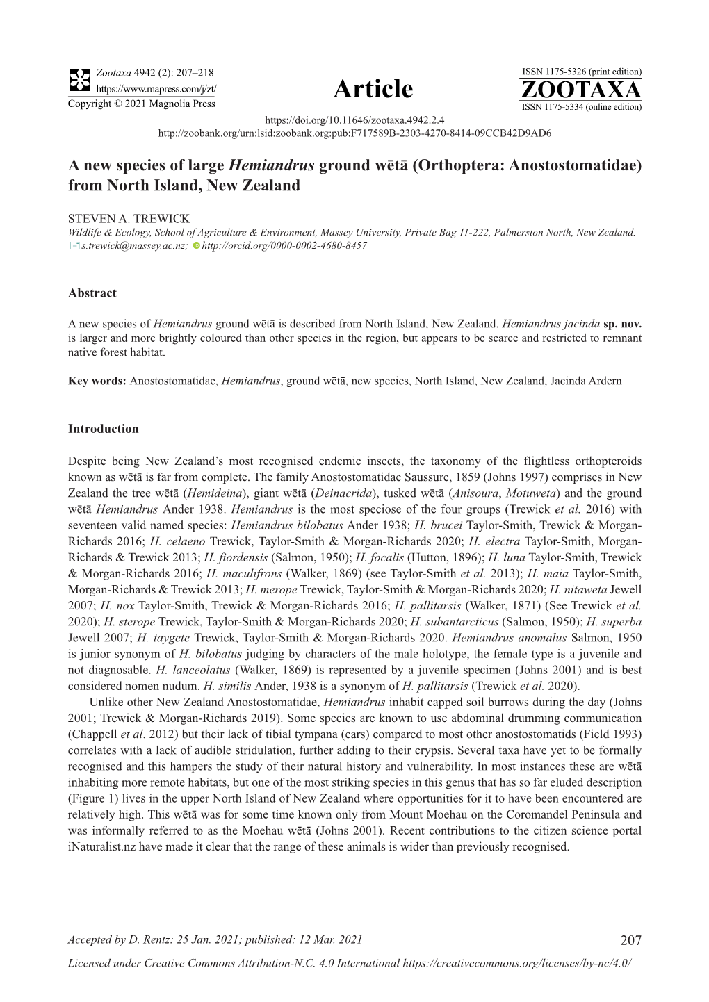 A New Species of Large Hemiandrus Ground Wētā (Orthoptera: Anostostomatidae) from North Island, New Zealand