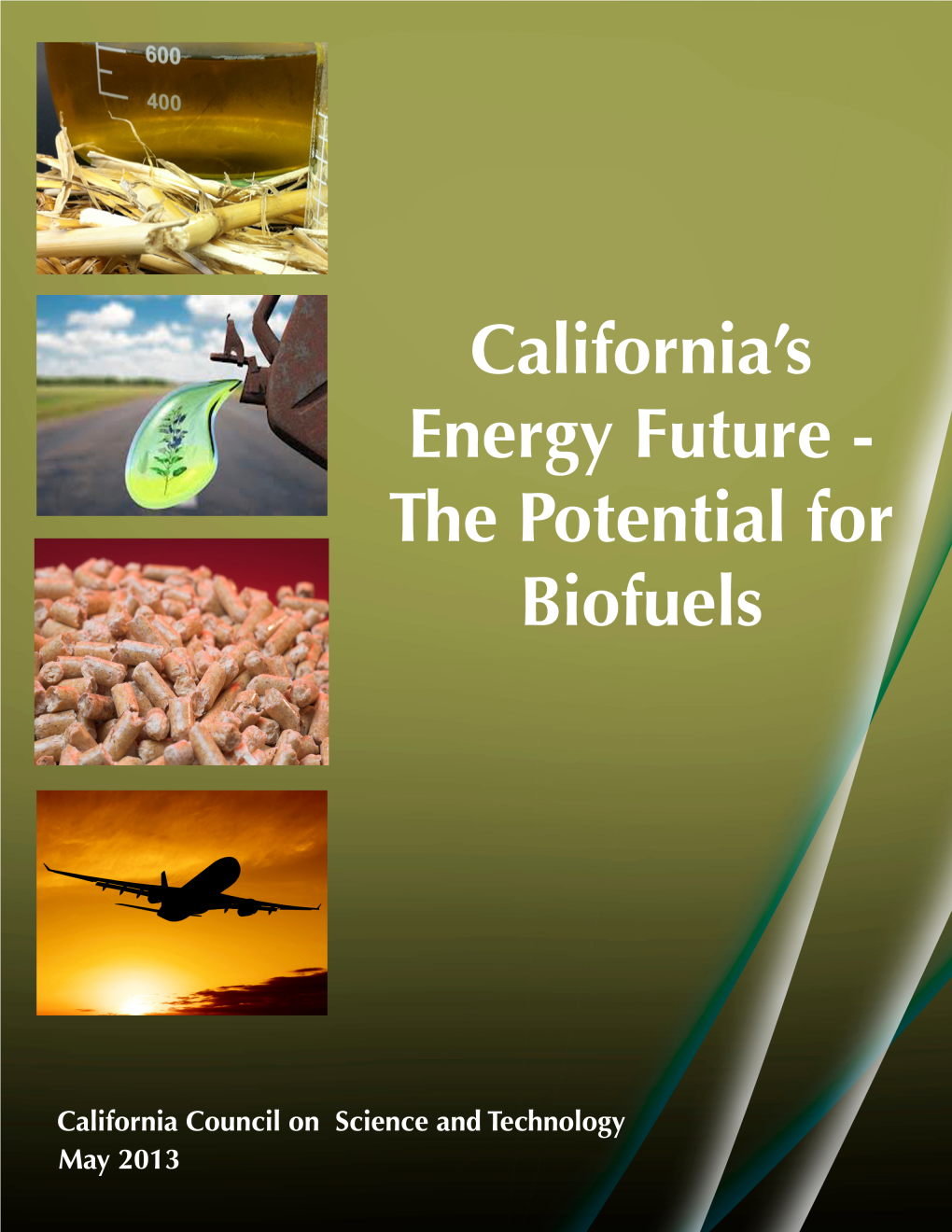 California's Energy Future—The Potential for Biofuels