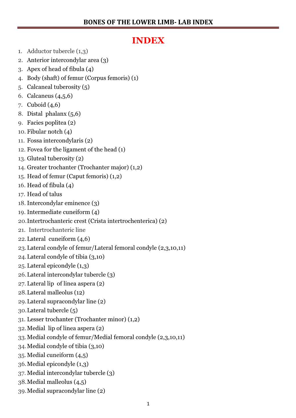 Bones of the Lower Limb- Lab Index