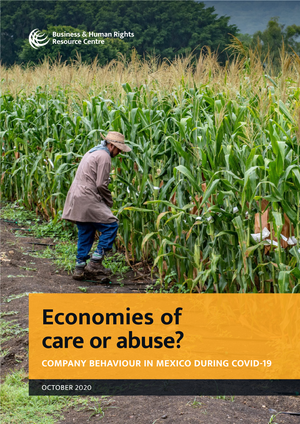 Economies of Care Or Abuse? COMPANY BEHAVIOUR in MEXICO DURING COVID-19