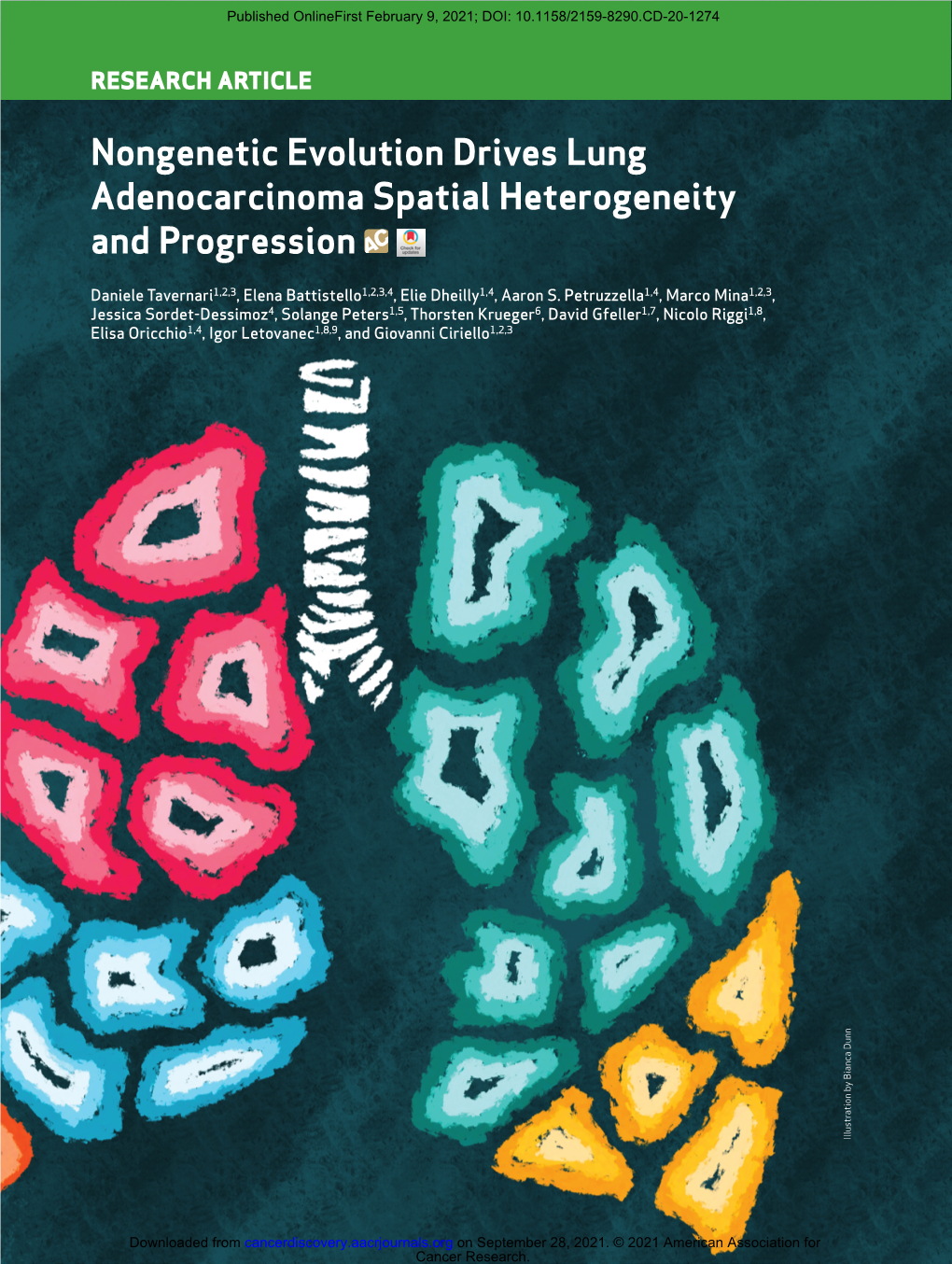 Nongenetic Evolution Drives Lung Adenocarcinoma Spatial Heterogeneity and Progression