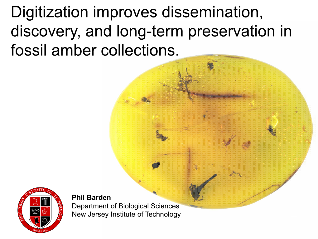 Digitization Improves Dissemination, Discovery, and Long-Term Preservation in Fossil Amber Collections