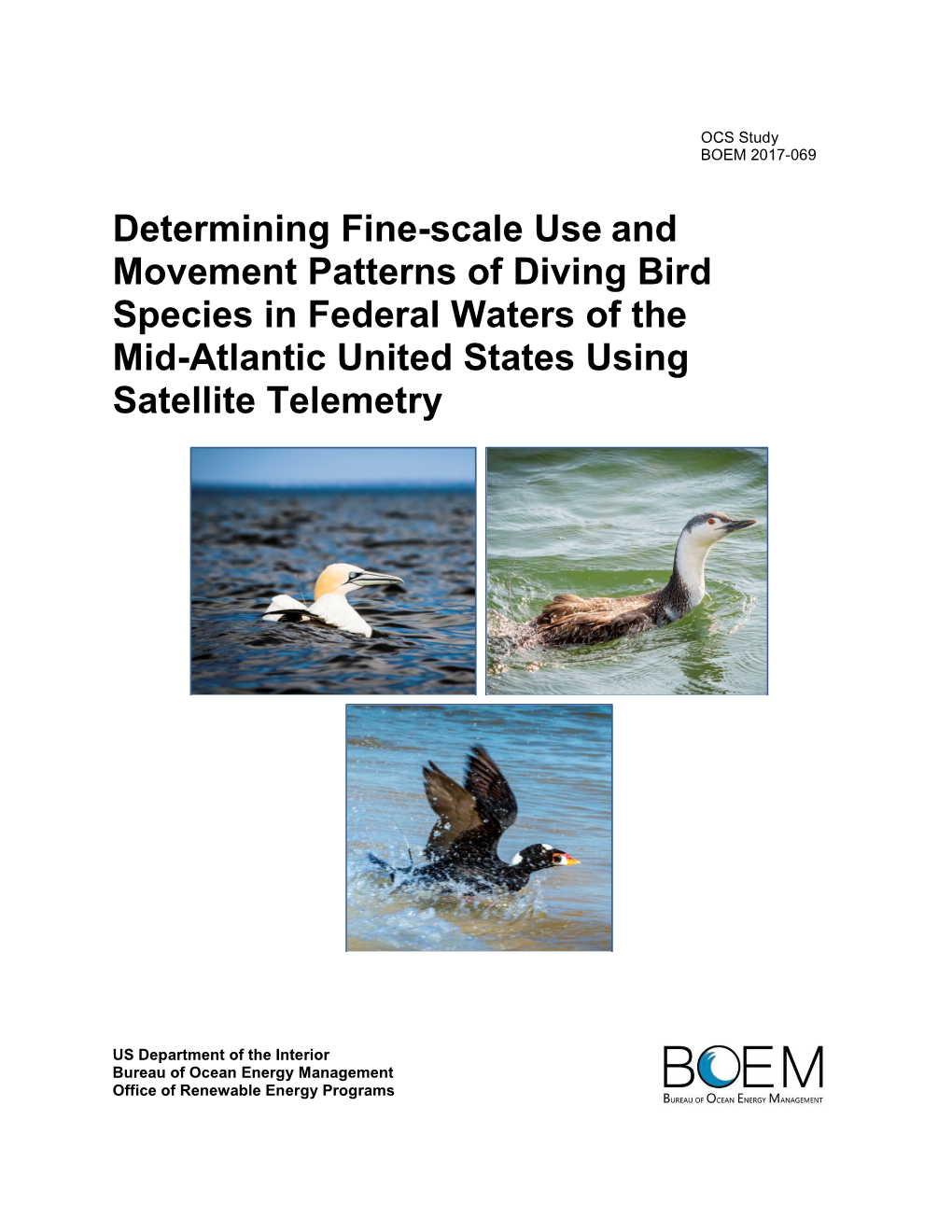 Determining Fine-Scale Use and Movement Patterns of Diving Bird Species in Federal Waters of the Mid-Atlantic United States Using Satellite Telemetry