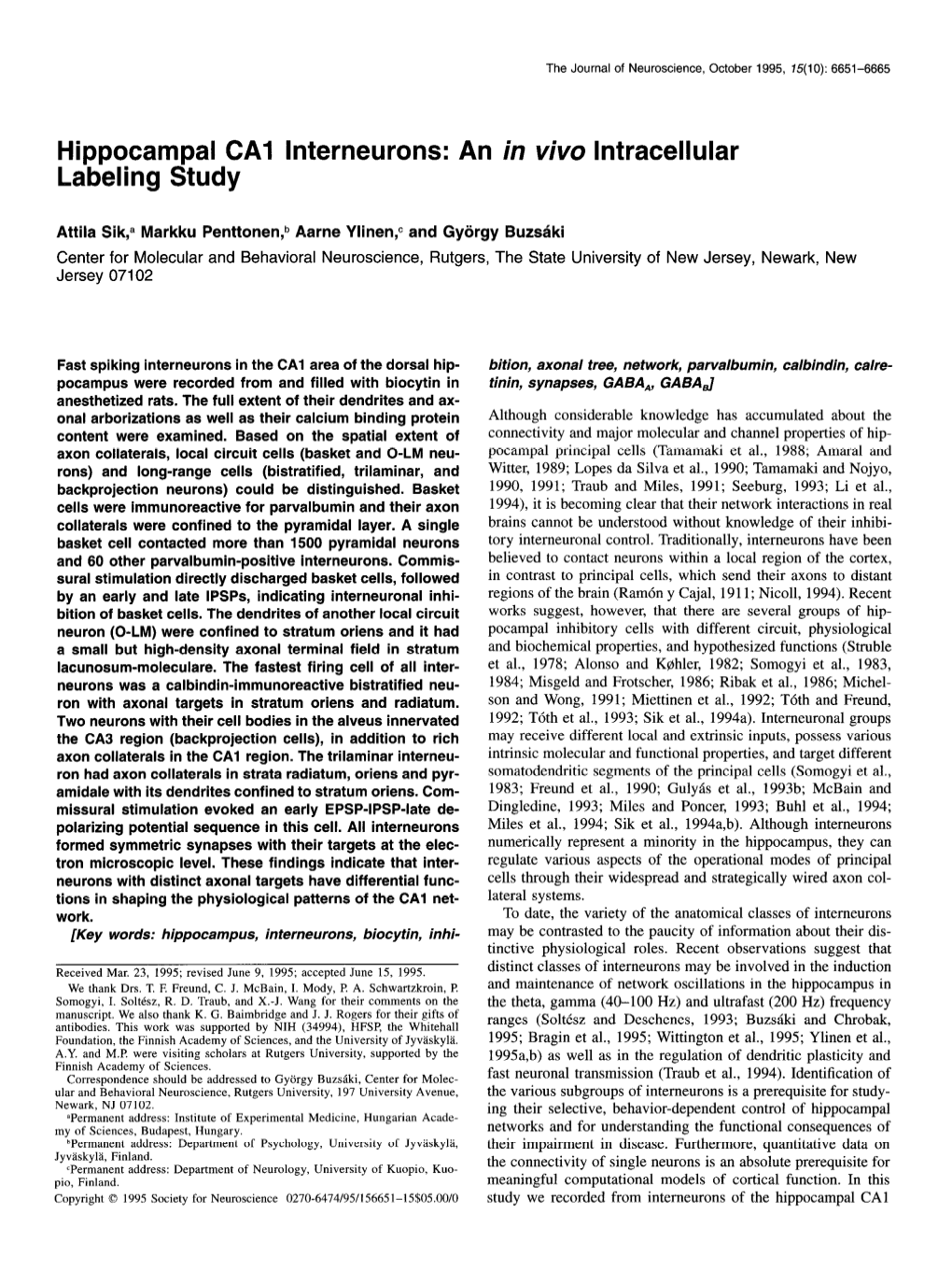 Hippocampal CA1 Interneurons: an in Vivo Intracellular Labeling Study