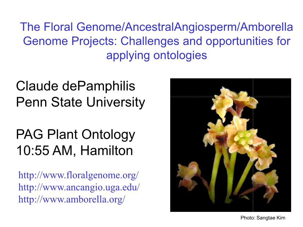 Amborella Genome Projects: Challenges and Opportunities for Applying Ontologies