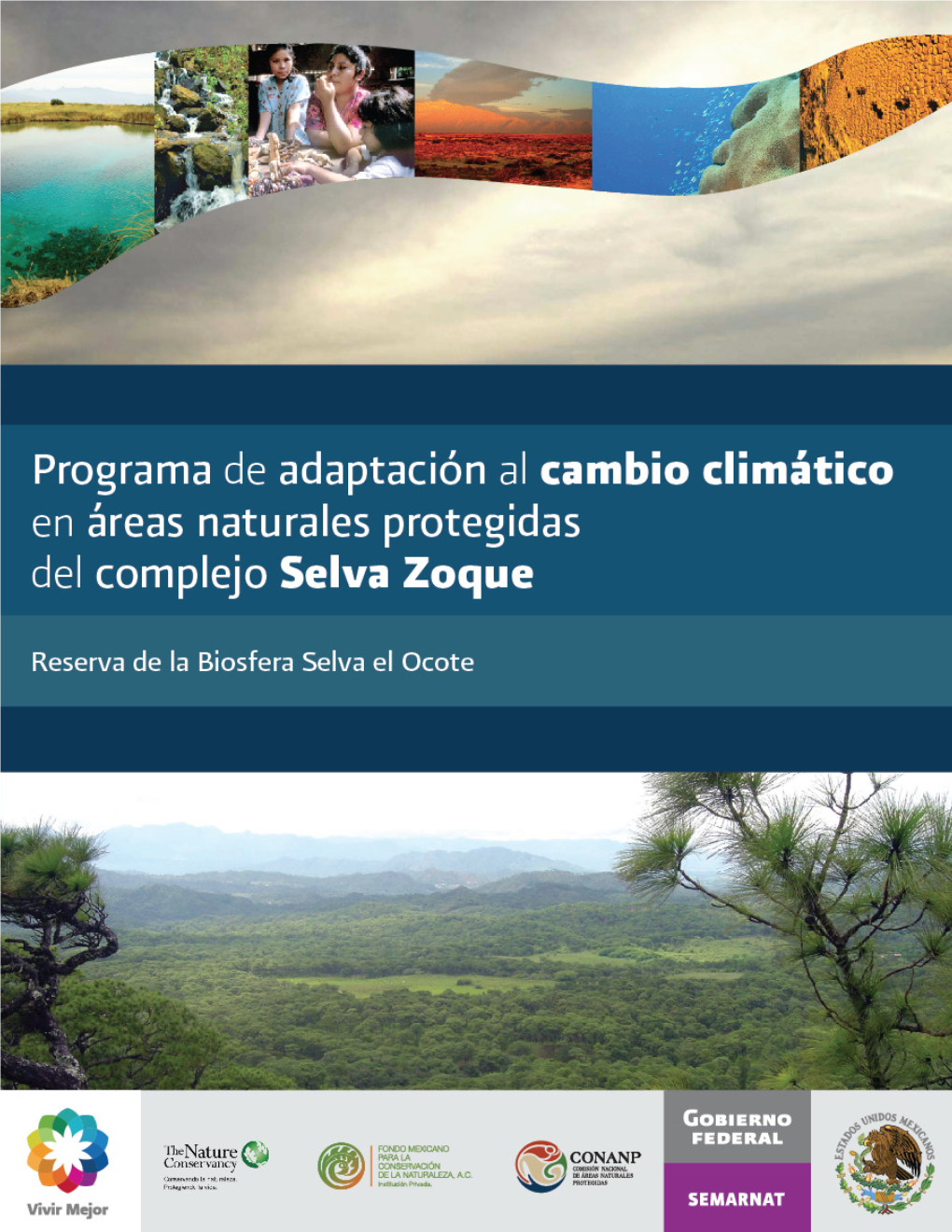 2011 PACC Selva Zoque.Pdf