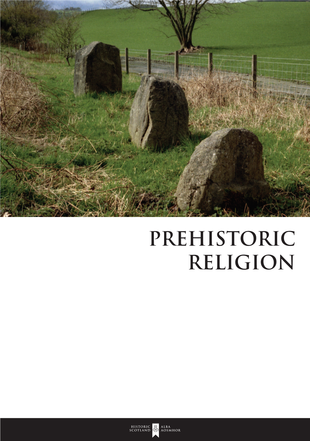 PREHISTORIC RELIGION a Boulder Decorated with Rows of Cupmarks May Have Marked a Prehistoric Boundary Or a Sacred Place in the Landscape