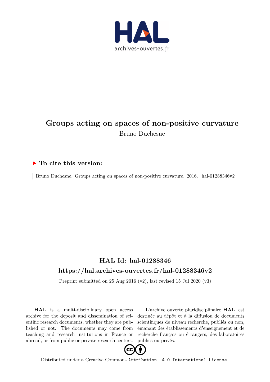 Groups Acting on Spaces of Non-Positive Curvature Bruno Duchesne
