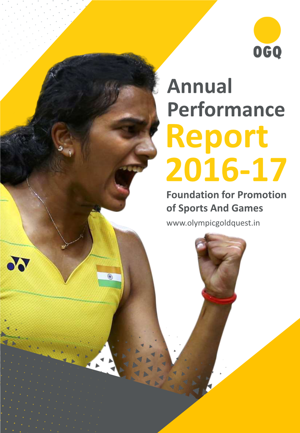 Report 2016-17