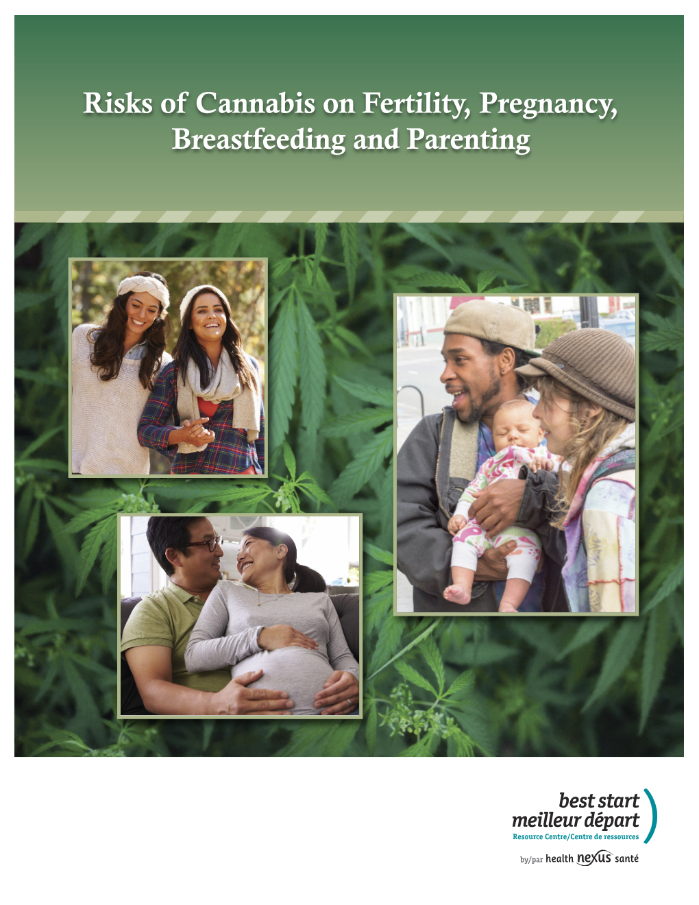 Risks of Cannabis on Fertility, Pregnancy, Breastfeeding And