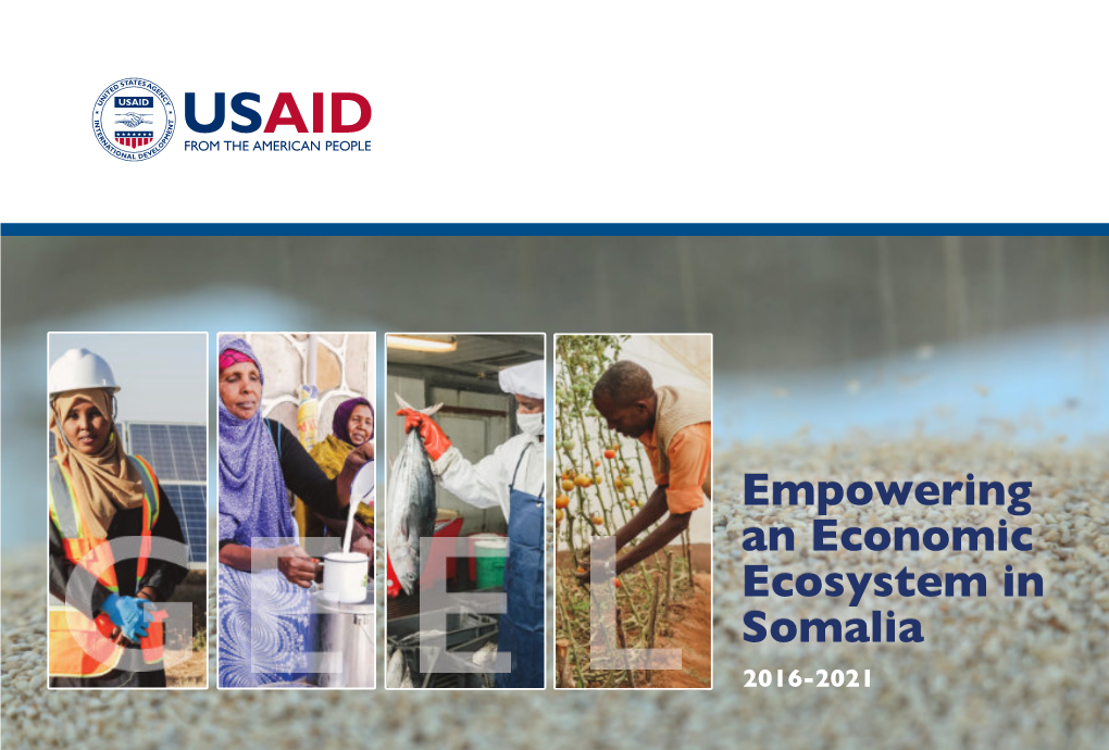 Empowering an Economic Ecosystem in Somalia 2016-2021