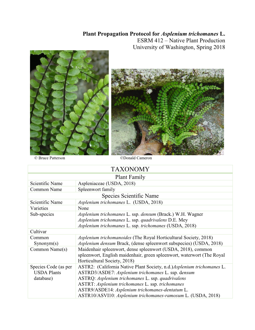 Plant Propagation Protocol for Asplenium Trichomanes L. ESRM 412 – Native Plant Production University of Washington, Spring 2018