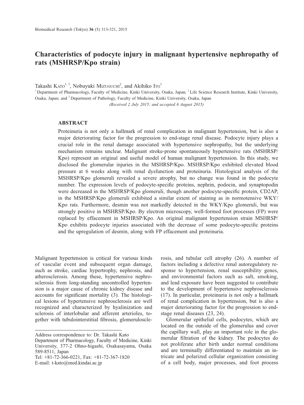 Characteristics of Podocyte Injury in Malignant Hypertensive Nephropathy of Rats (MSHRSP/Kpo Strain)