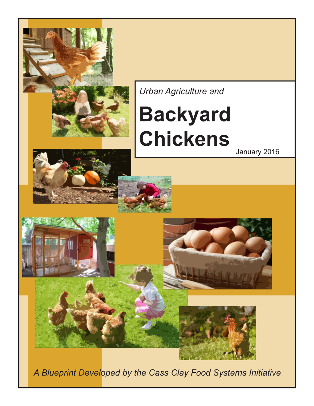 Backyard Chickens