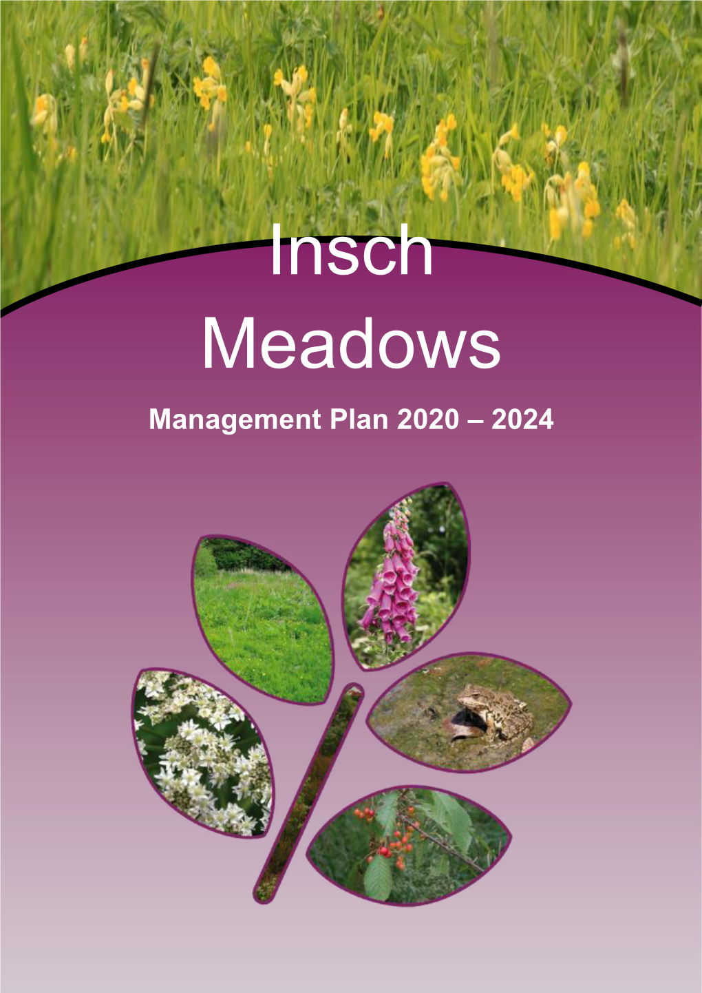 Insch Meadows Management Plan 2020-2024