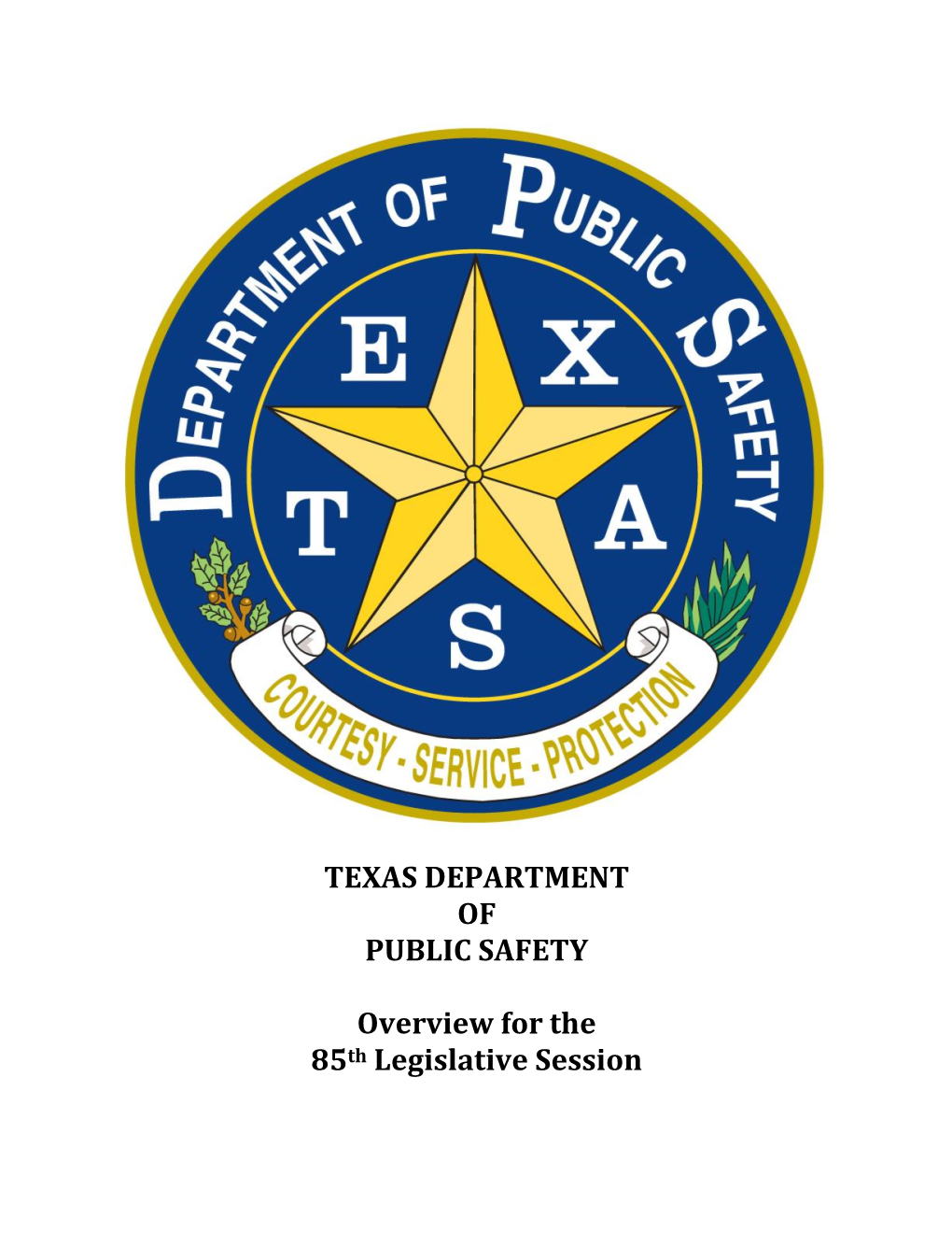 TEXAS DEPARTMENT of PUBLIC SAFETY Overview for the 85Th