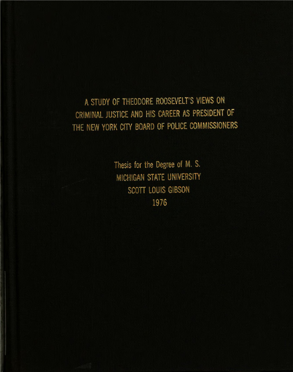 A Study of Theodore Roosevelt's Views on Criminal Justice and His Career As President of the New York City Board of Police Commissioners