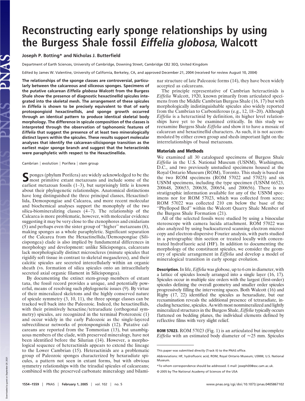 Reconstructing Early Sponge Relationships by Using the Burgess Shale Fossil Eiffelia Globosa, Walcott