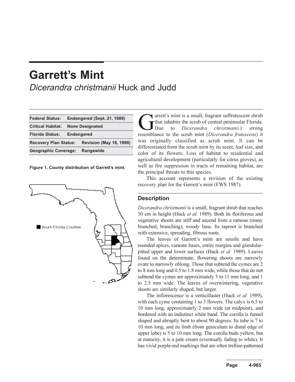 Garrett's Mint