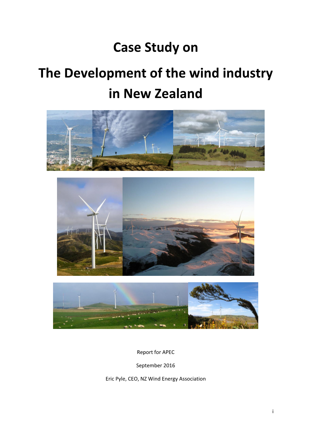 Case Study on the Development of the Wind Industry in New Zealand