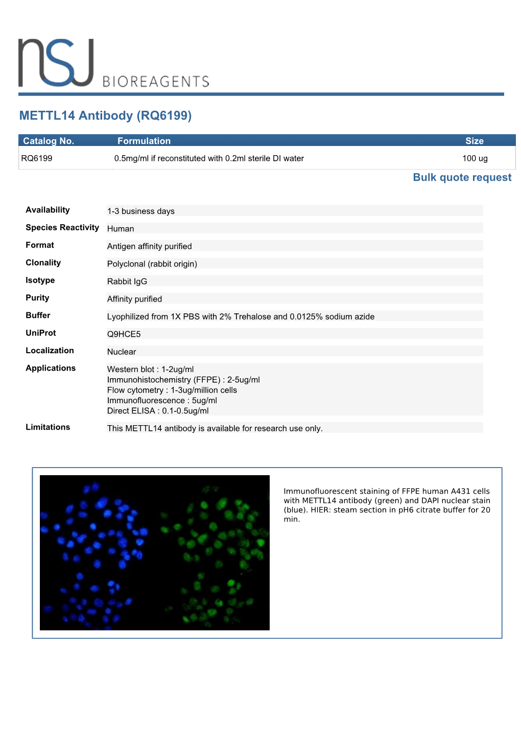 METTL14 Antibody (RQ6199)