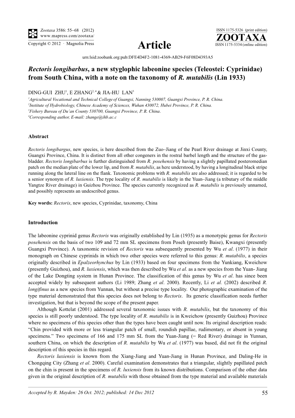 Rectoris Longibarbus, a New Styglophic Labeonine Species (Teleostei: Cyprinidae) from South China, with a Note on the Taxonomy of R