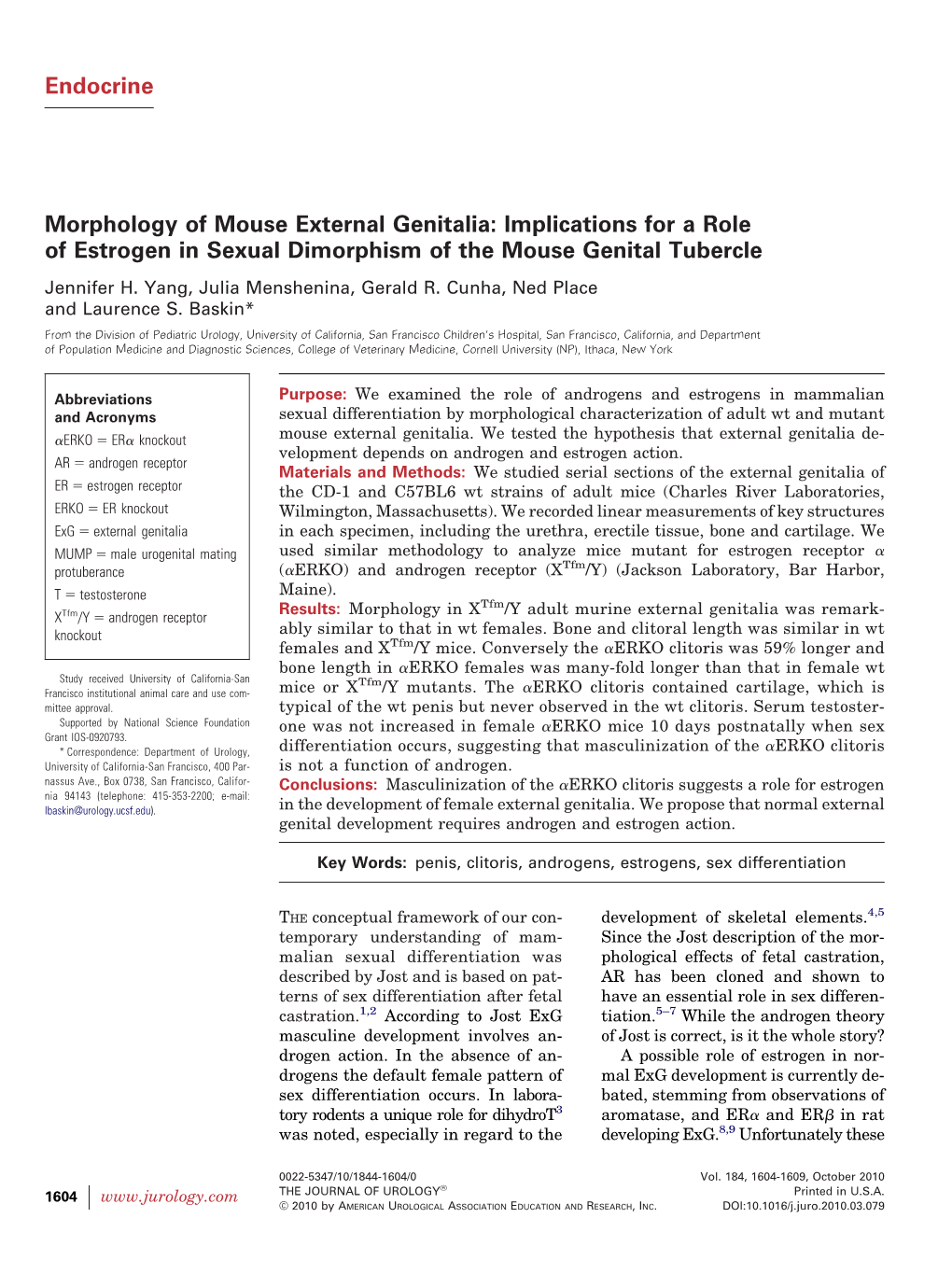 Endocrine Morphology of Mouse External Genitalia: Implications for A