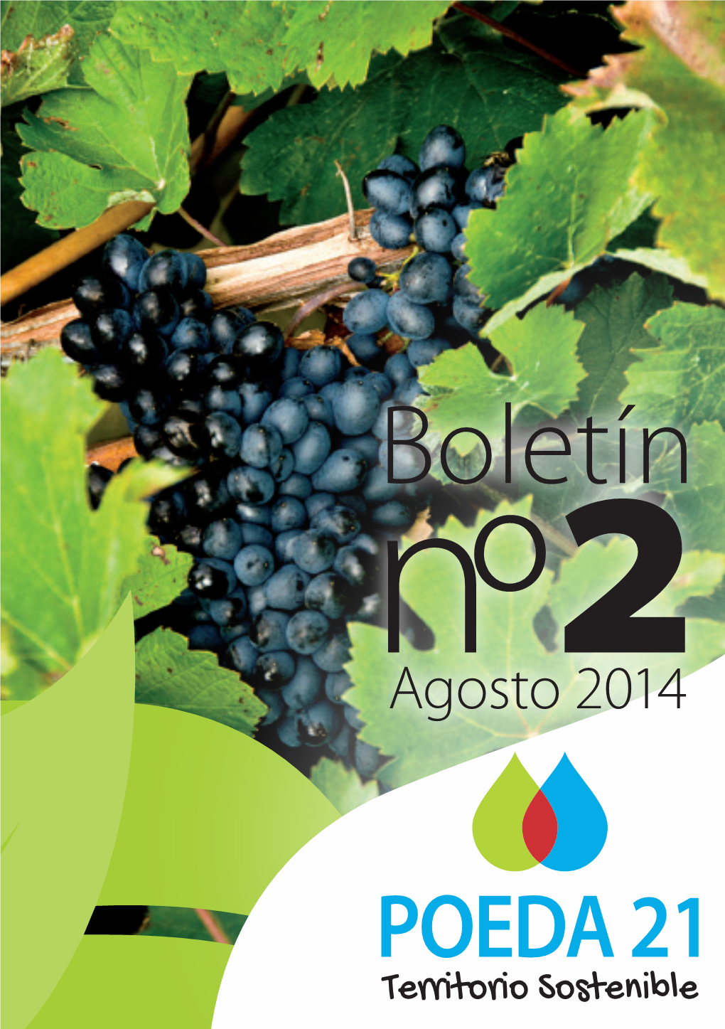 Boletin2.Pdf