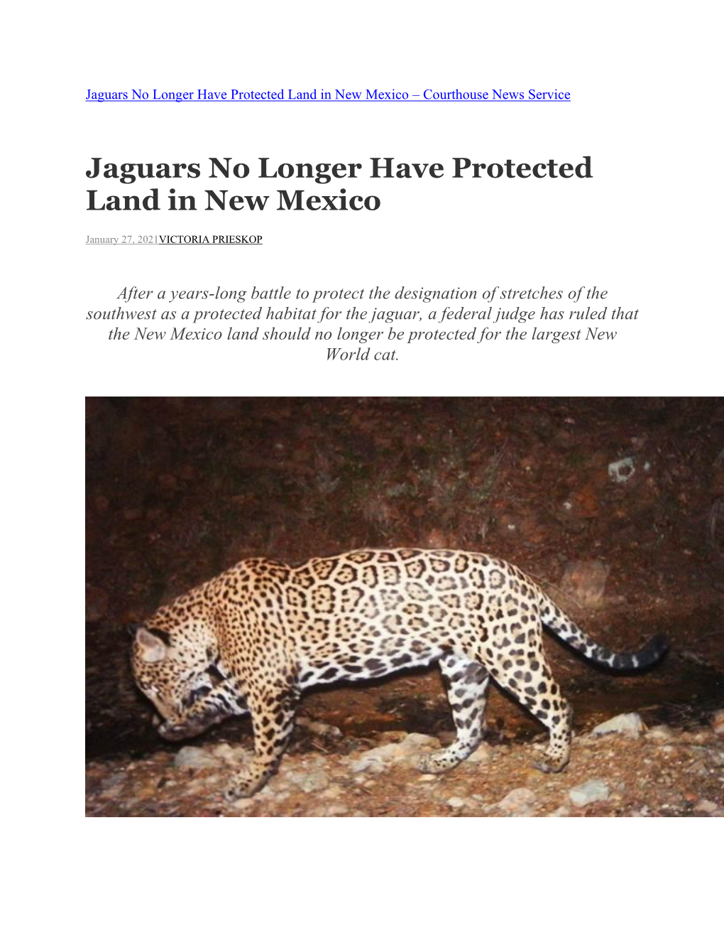 Jaguars No Longer Have Protected Land in New Mexico – Courthouse News Service