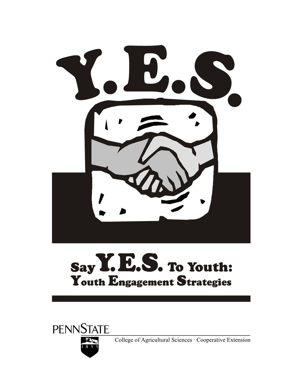 Say Y.E.S. to Youth: Youth Engagement Strategies