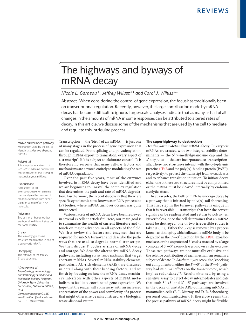 The Highways and Byways of Mrna Decay