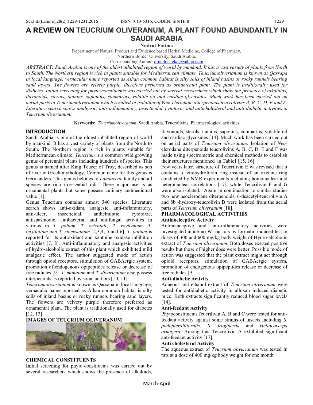 A Review on Teucrium Oliveranum, a Plant Found