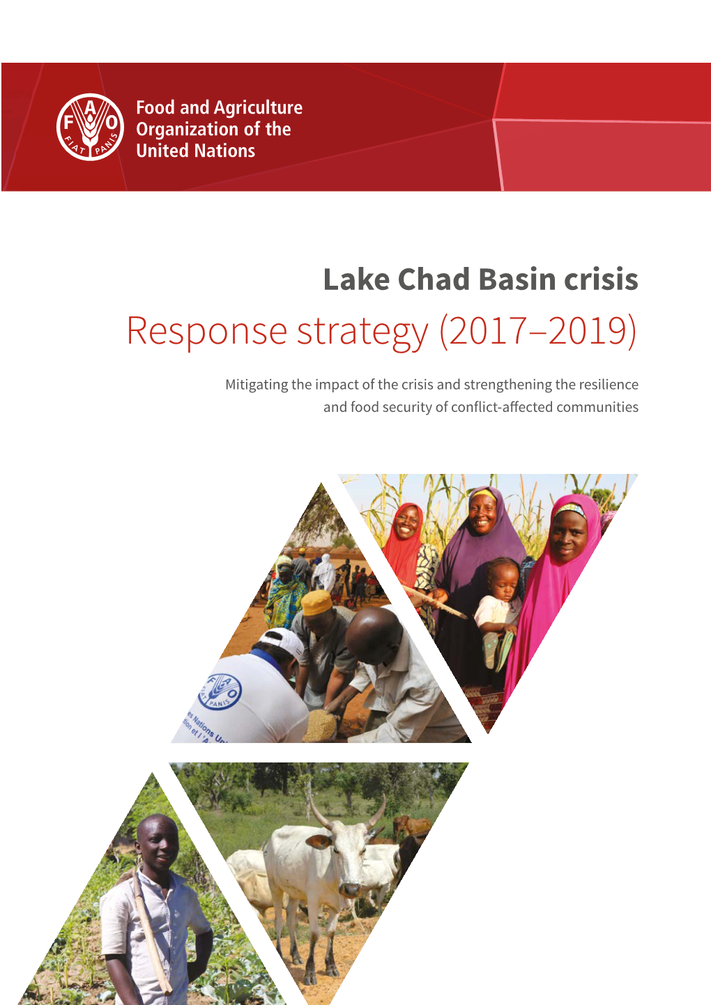 Lake Chad Basin Crisis Response Strategy (2017–2019)