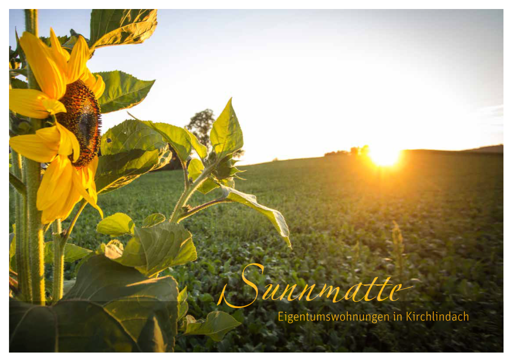 Eigentumswohnungen in Kirchlindach Sunnmatte Zollikofen