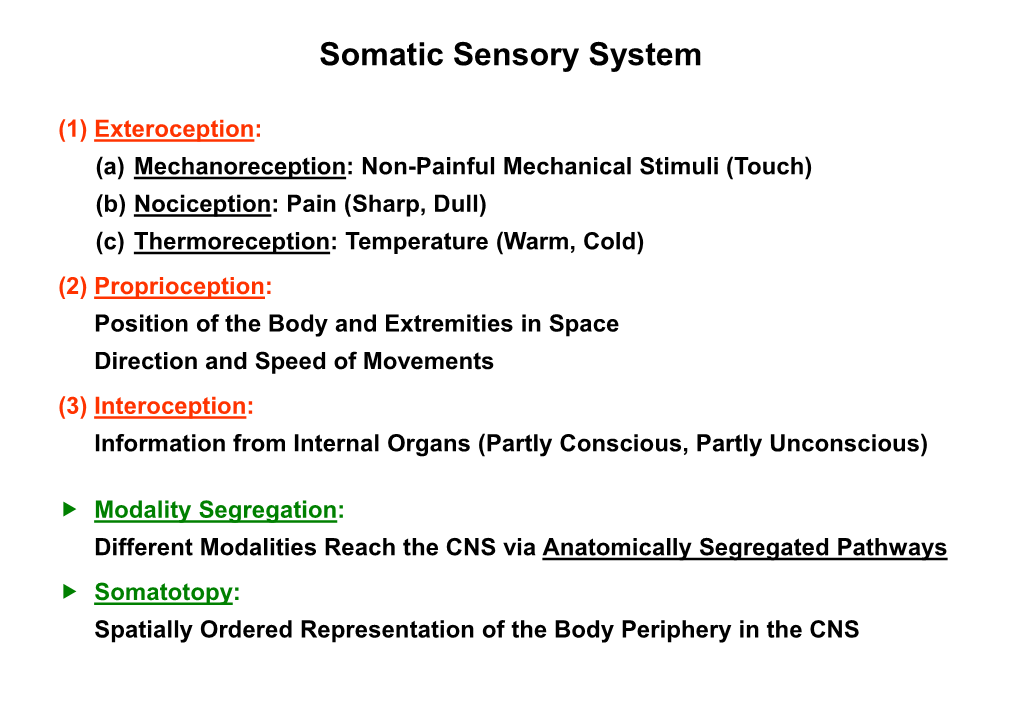 Somatic Sensory System