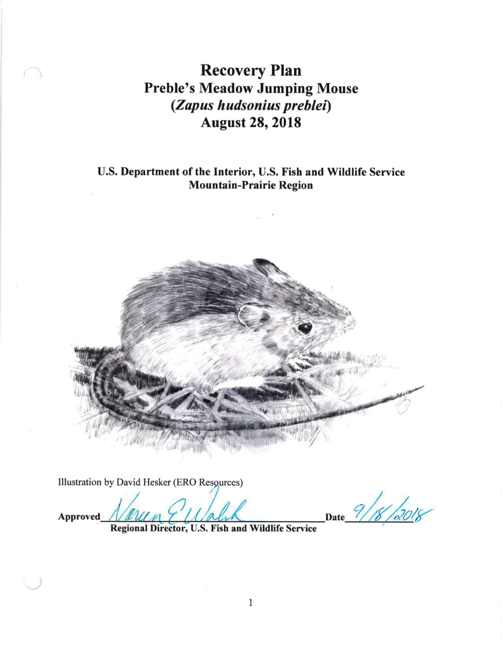 Us Fish and Wildlife Service's Mission in Recovery Planning