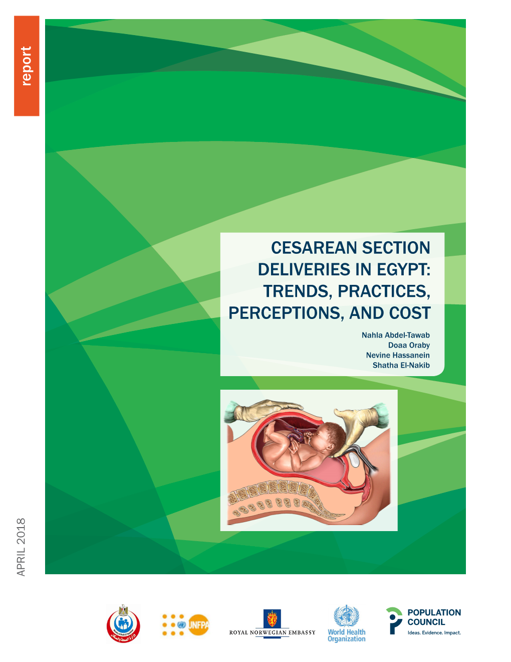 Cesarean Section Deliveries in Egypt