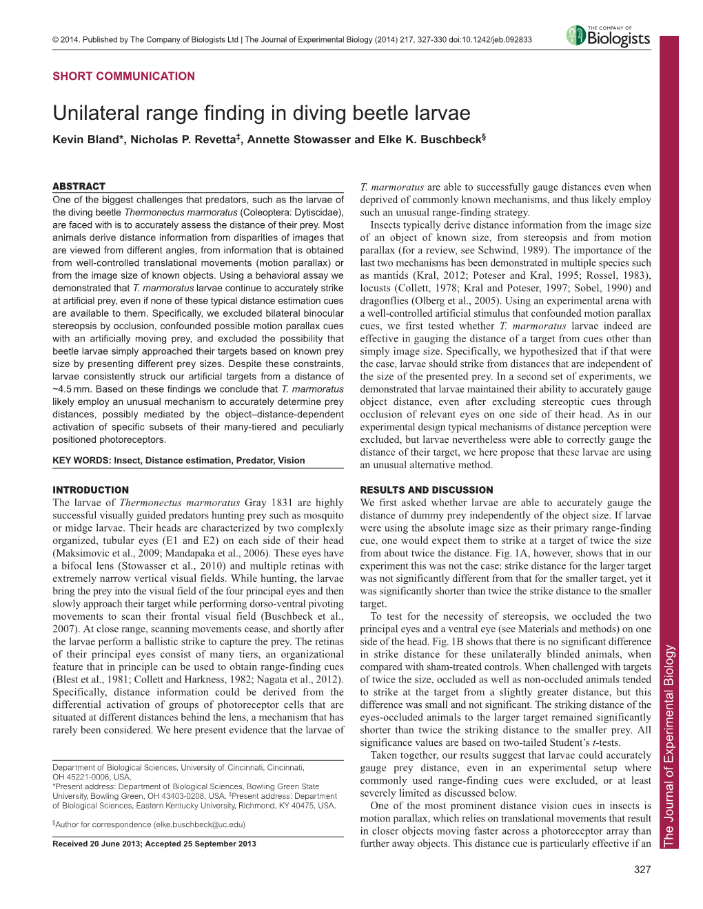 Unilateral Range Finding in Diving Beetle Larvae