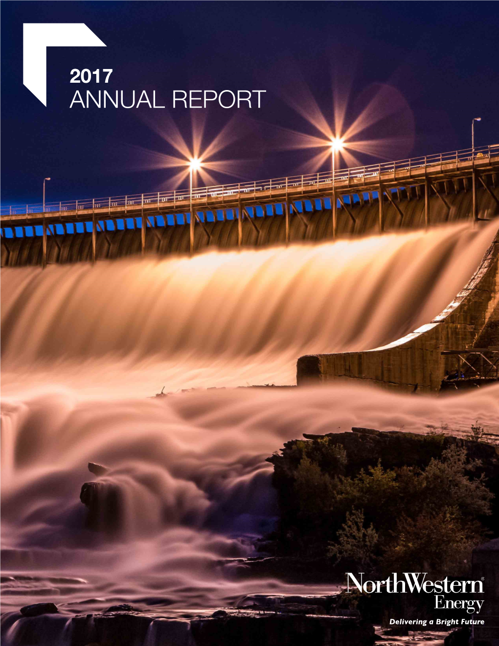 View Annual Report