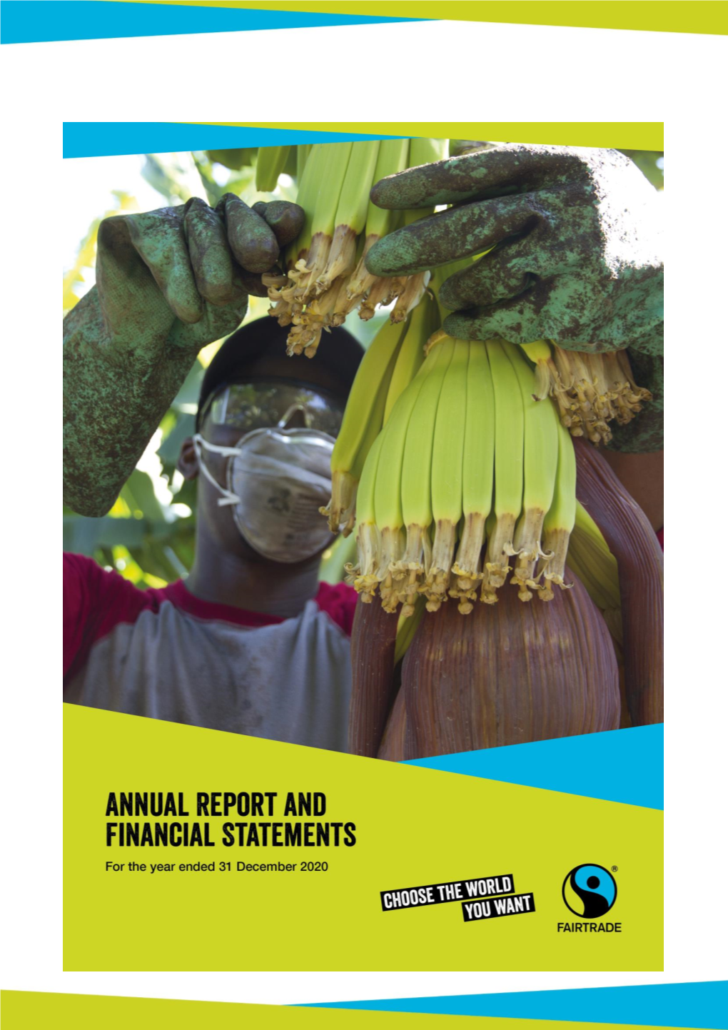 Read the 2020 Annual Report and Financial Statements (Pdf)