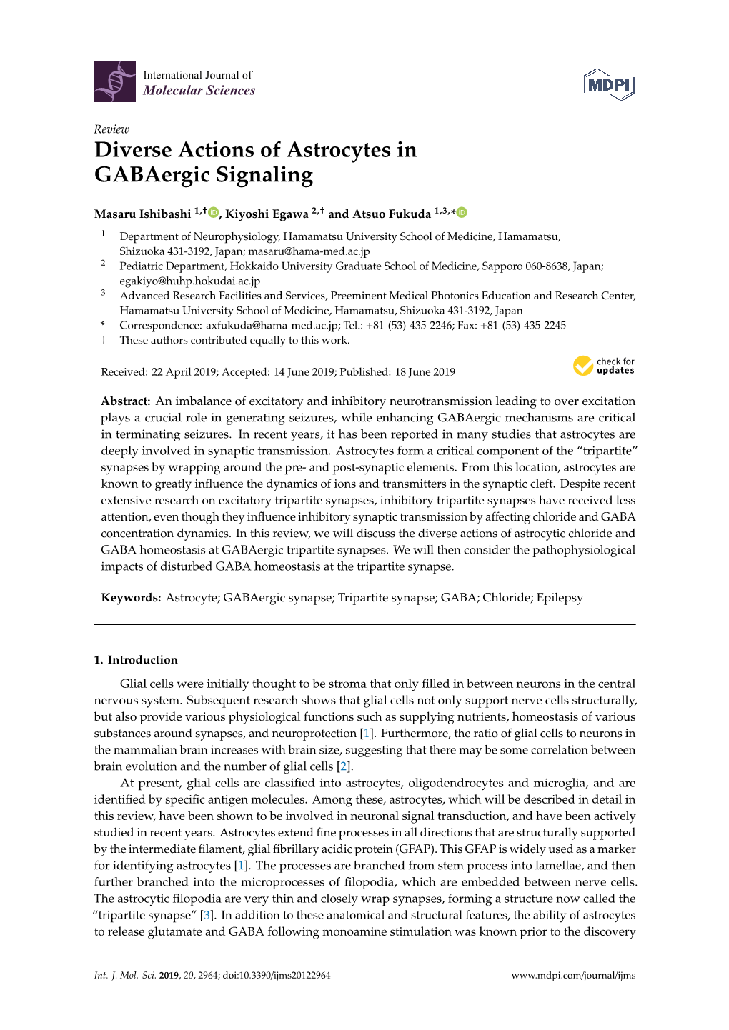 Diverse Actions of Astrocytes in Gabaergic Signaling