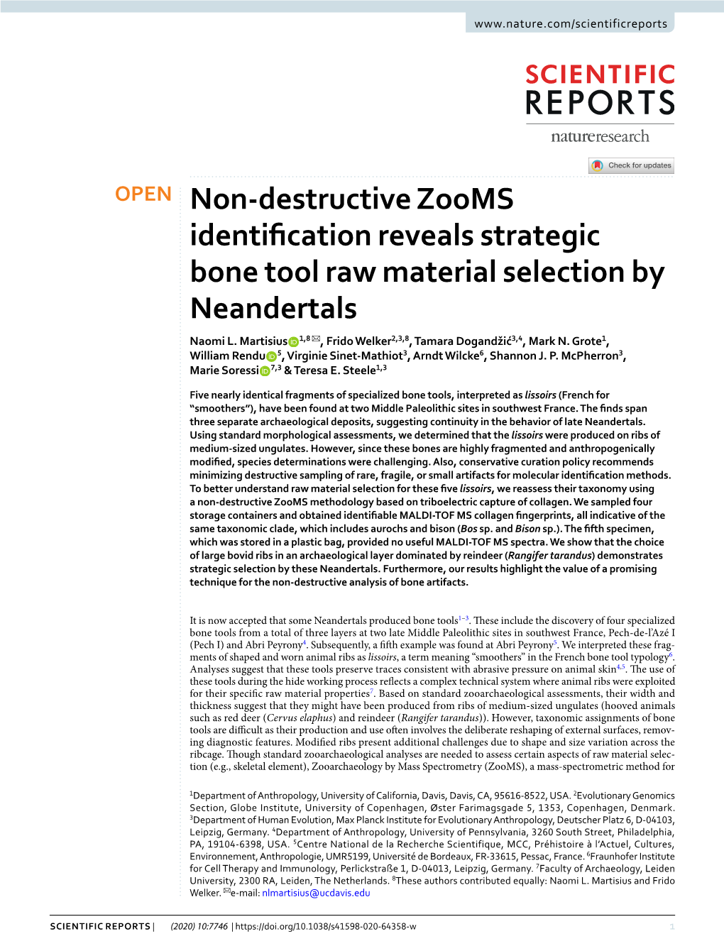 Non-Destructive Zooms Identification Reveals