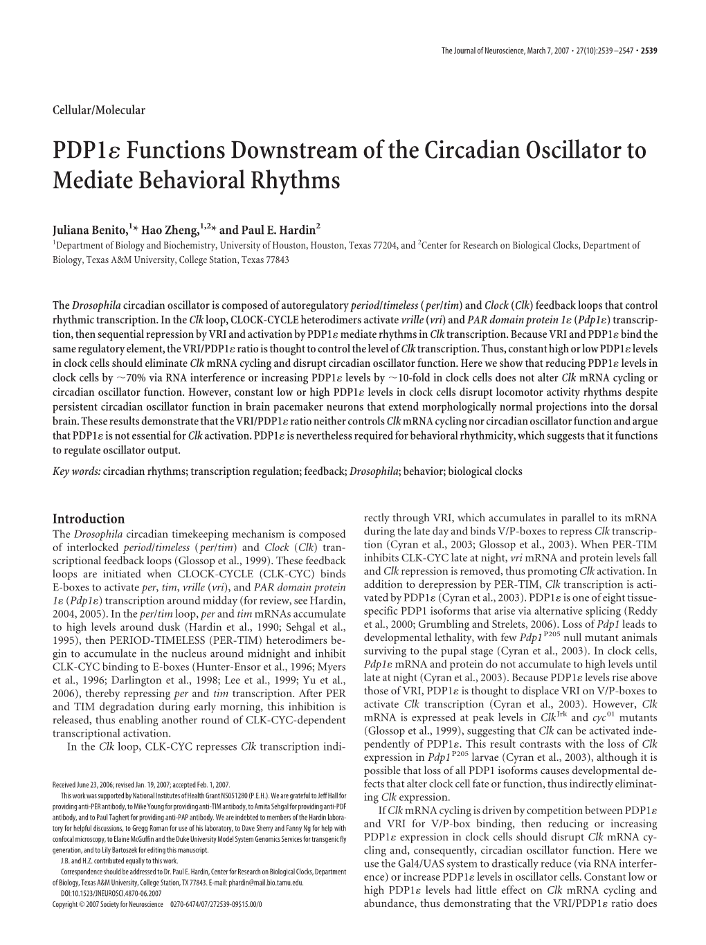 PDP1 Functions Downstream of the Circadian Oscillator to Mediate Behavioral Rhythms