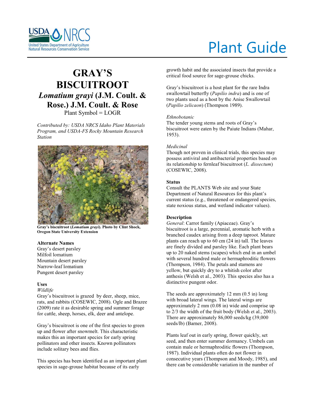 Plant Guide for Gray's Biscuitroot (Lomatium Grayi)